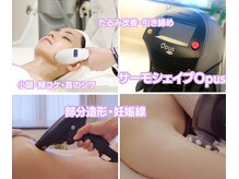 ラエッセ(La Esse)の雰囲気（圧倒的No.1☆ 効果実感！即効性！サイズダウンや肌たるみをケア）