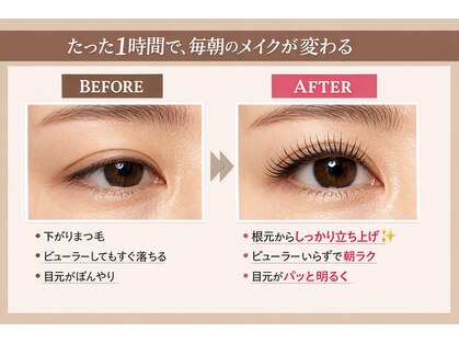 アムール(l'amour)の写真