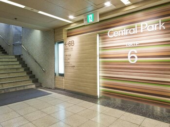 ロベリア(LOBELIA)/【アクセス☆STEP‐2】