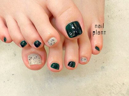 ネイル プラント(nail plant)の写真