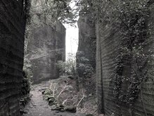 ラ サンセリテ(la sincerite)/la sincerite/privatenailsalon