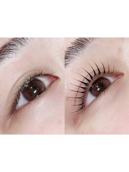 初めての方にオススメ