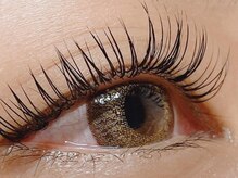 ザラボアングゥ(The Labo ungu)/【パリエク】