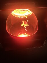 ゴクラク&nbsp;愛 ちゃん