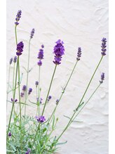 Beauty Salon Four Seasons戸田公園店&nbsp;小川 