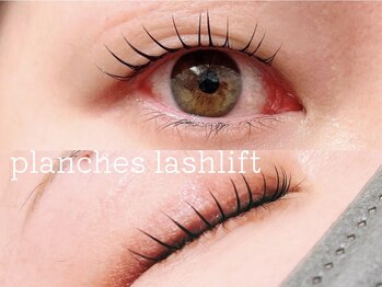 ウィスタリア フィールドプランシュ(WISTARIA FIELD-PLANCHES)/一重さんもぱっちり☆