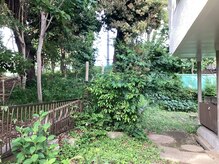 緑が見える静かな環境で心も身体もリラックス♪