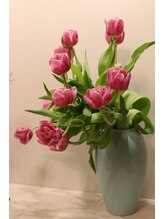 ステラヘルバ/春の予感