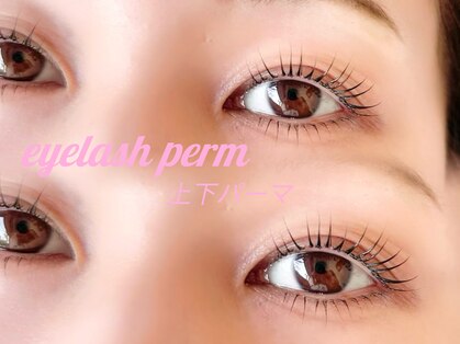 リノア(Linoa)の写真