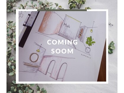 メイプル 石手店(Maple)の写真