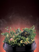 ヨサパークツボミ(YOSA PARK tsubomi)/【ハーブ】