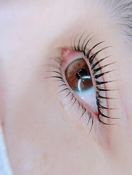 マリヤ 浦安店(Mariya)の写真/【まつ毛パーマに特化したサロン】ロッドの種類が100種類以上◎初めての方もお気軽にご来店ください!