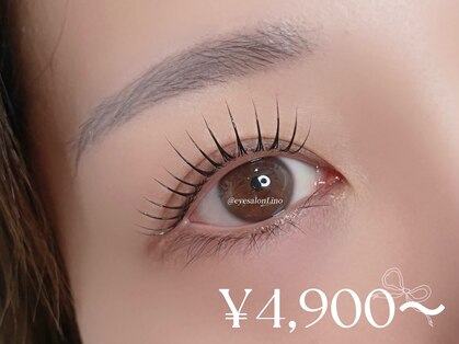 リノ(Lino)の写真