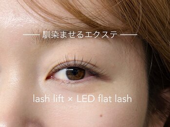 シエナ アイ(CIENA eye)/