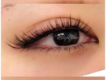 リリーブルー(Lily Blue)/