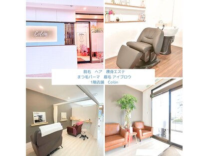 コロン(colon)の写真