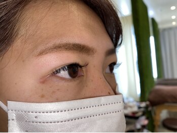 ジョリー(Jolie)/