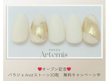 アルテミス(Artemis)/定額シンプル15種＊カラー変更◎