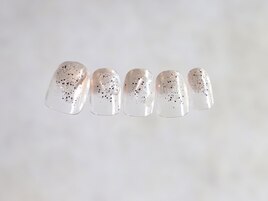 C-2 シルバー定額