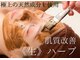 アネモネ 心斎橋院の写真
