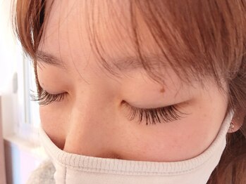 レット(lette)/フラットラッシュ 170本