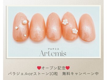 アルテミス(Artemis)/定額シンプル15種＊カラー変更◎