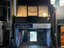 ルピナス(Lupinus)/