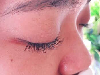 レット(lette)/フラットラッシュカラー 210本