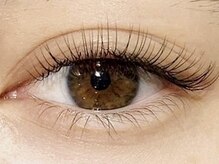 ドレス アイラッシュ(Dress eyelash)