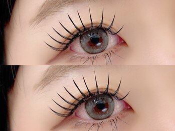 トムテ(tomte)/ダブルフラットラッシュ