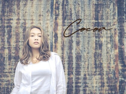 ココア(Cocoa)の写真