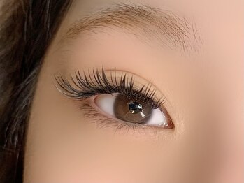 アンディ(ANDY)/フラットラッシュ140本