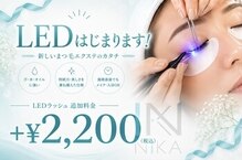 ニカ(NIKA)