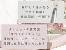 コスモス