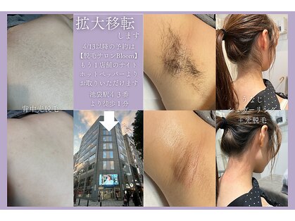 ブルーム(Bloom)の写真