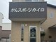 かんスポーツカイロプラクティックの写真
