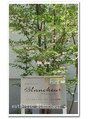 エステティック ブランシュール(Blancheur)&nbsp;玄関横のこの看板を目印に