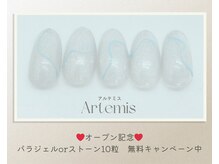 アルテミス(Artemis)/定額シンプル15種＊カラー変更◎