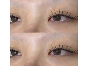 アンジェリークアイラッシュ(Angelique Eye Lash)/LED100 担当平山