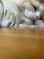 キララフェイシャル(kirara facial) 休日の姿はこんな感じです
