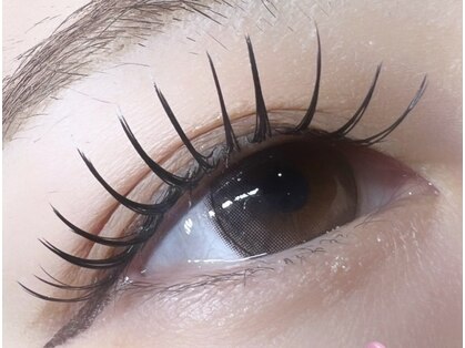 イデアル(ideal)の写真