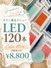 ★サマー限定★LED120本カラーミックス(40本入)¥8800