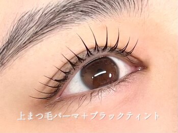 プラティーヌ 広尾 恵比寿(Platine)/上まつ毛パーマ＋ティント