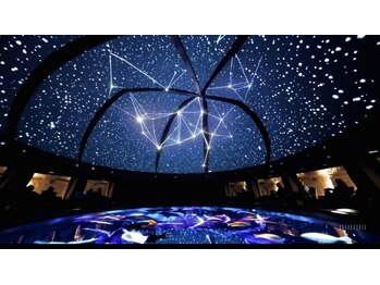 アリエス 柏/CG動画の動くプラネタリウム