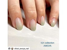 アオヤ(h/n collection AWOYA)/爽やかグラデーション
