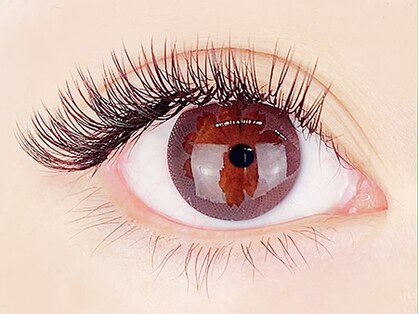 アイラッシュ ヴィズ(Eyelash Viz)の写真