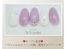 アルテミス(Artemis)/定額シンプル15種＊カラー変更◎