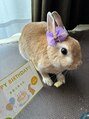 シェリー(Che'rie) うちで飼ってるうさぎさん!とっても可愛くて活発な女の子