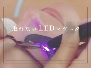 マハロクーレイ(Mahalo Ku’u Lei)/