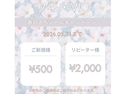 レーヴ(Reve)の写真